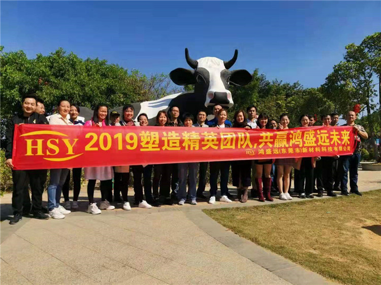 鴻盛遠公司組團出游分享